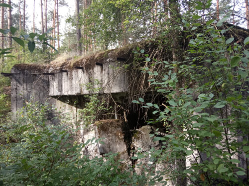Брестский укрепрайон (БУР) — По следам ДОТов 13